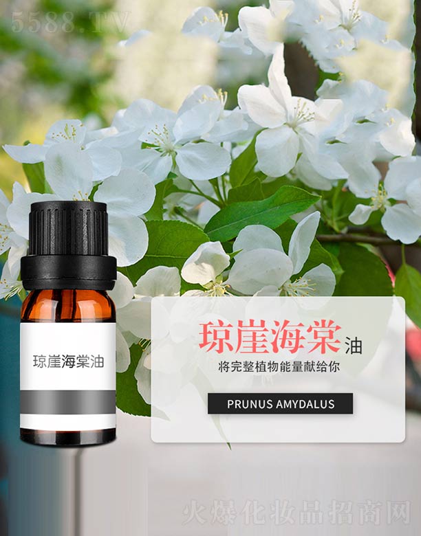 ���º�����