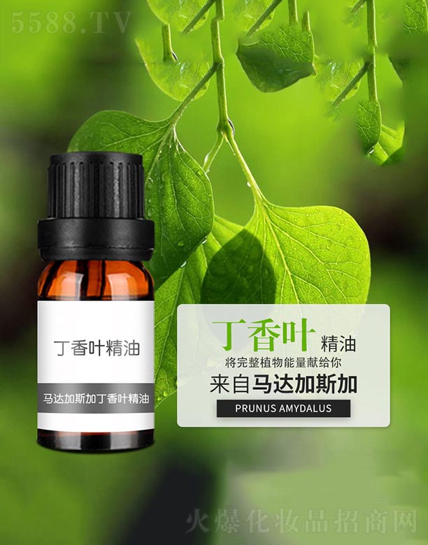 �����~����