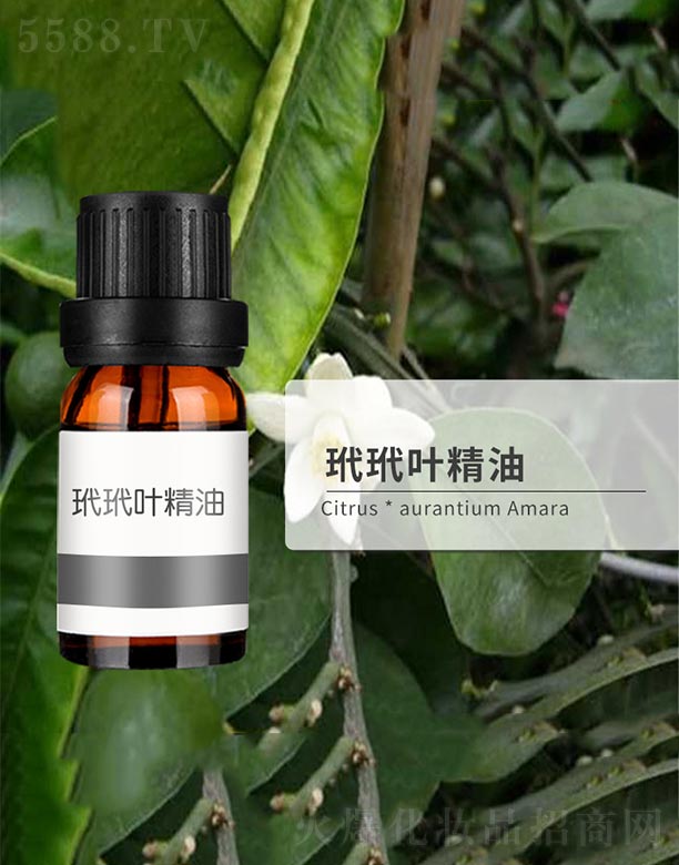 �����~����