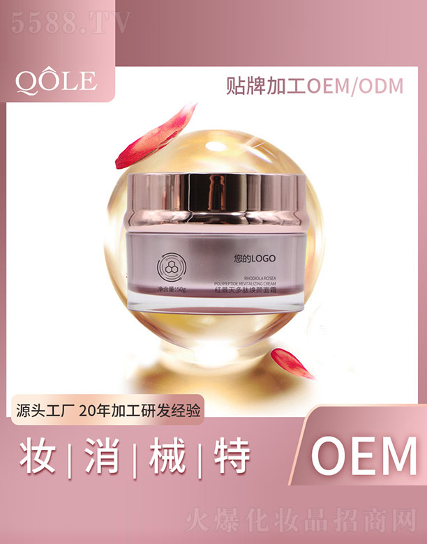 �t������ğ����˪