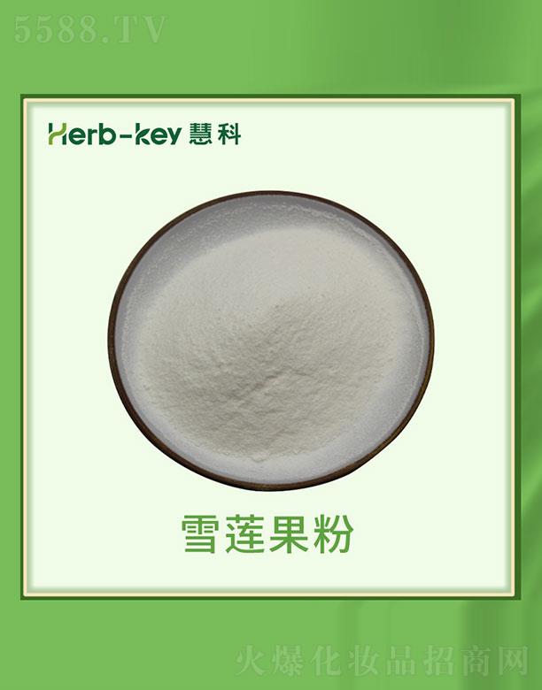 �ۿ�ѩɏ����