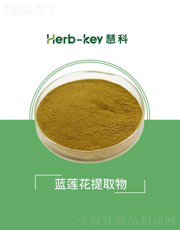 �ۿ��{ɏ����ȡ��