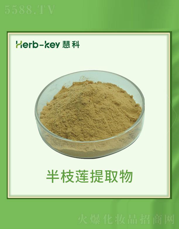 �ۿư�֦ɏ��ȡ��