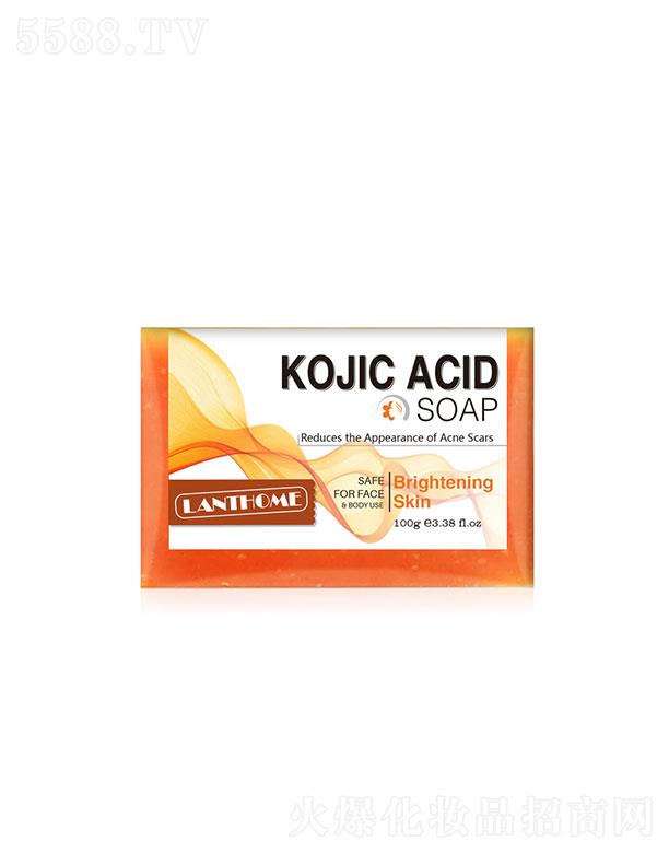 �V���������� ɏ��Ȫ������  100g  �坍���o(h��)