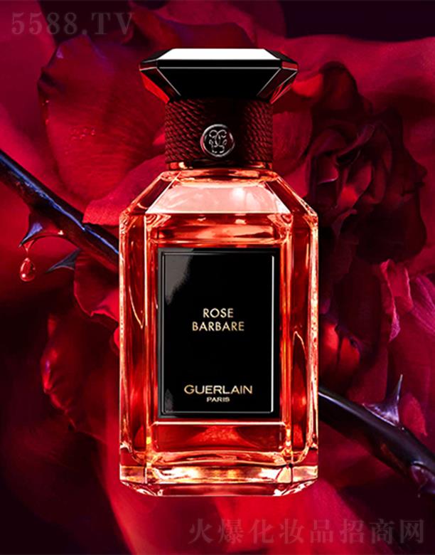 ���mˇ�g(sh��)ɳ��ϵ�� ������õ����-���㾫 100ml���b����ļtõ��