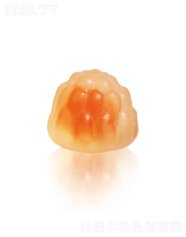 �ɘ�DHA�����ܛ�� 3.0g/��