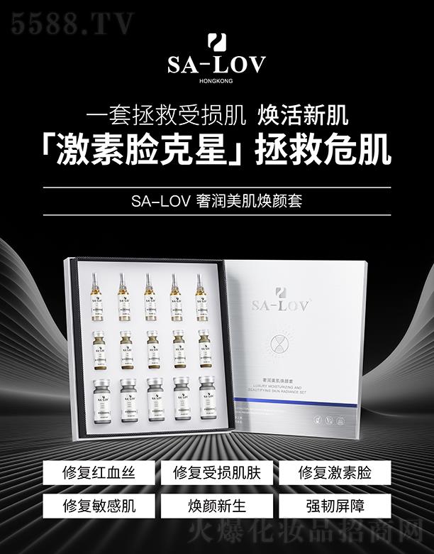 SA-LOV�ݝ�(r��n)���������