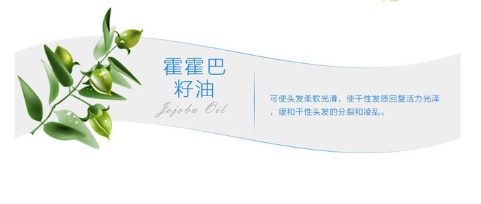 SHIFEI-�Q�z����ϴ�l(f��)ˮ