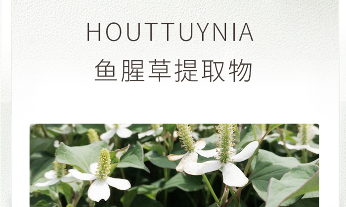 �ŭZ���澏���o(h��)���AҺ