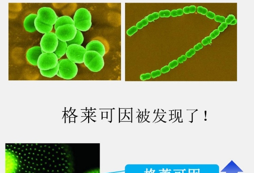 δ��(bi��o)�}-3_07