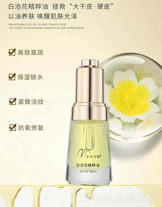 ���Xɯ�ȋXɯ�Ȱ׳ػ�������