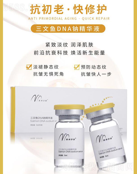 ���Xɯ�������~(y��)DNA�{���AҺ