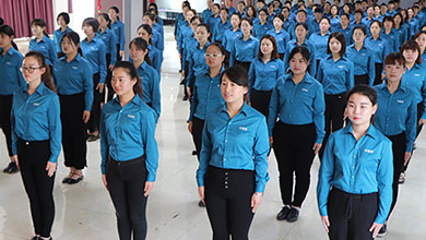 �𱬾W(w��ng)��Ӣ�F�