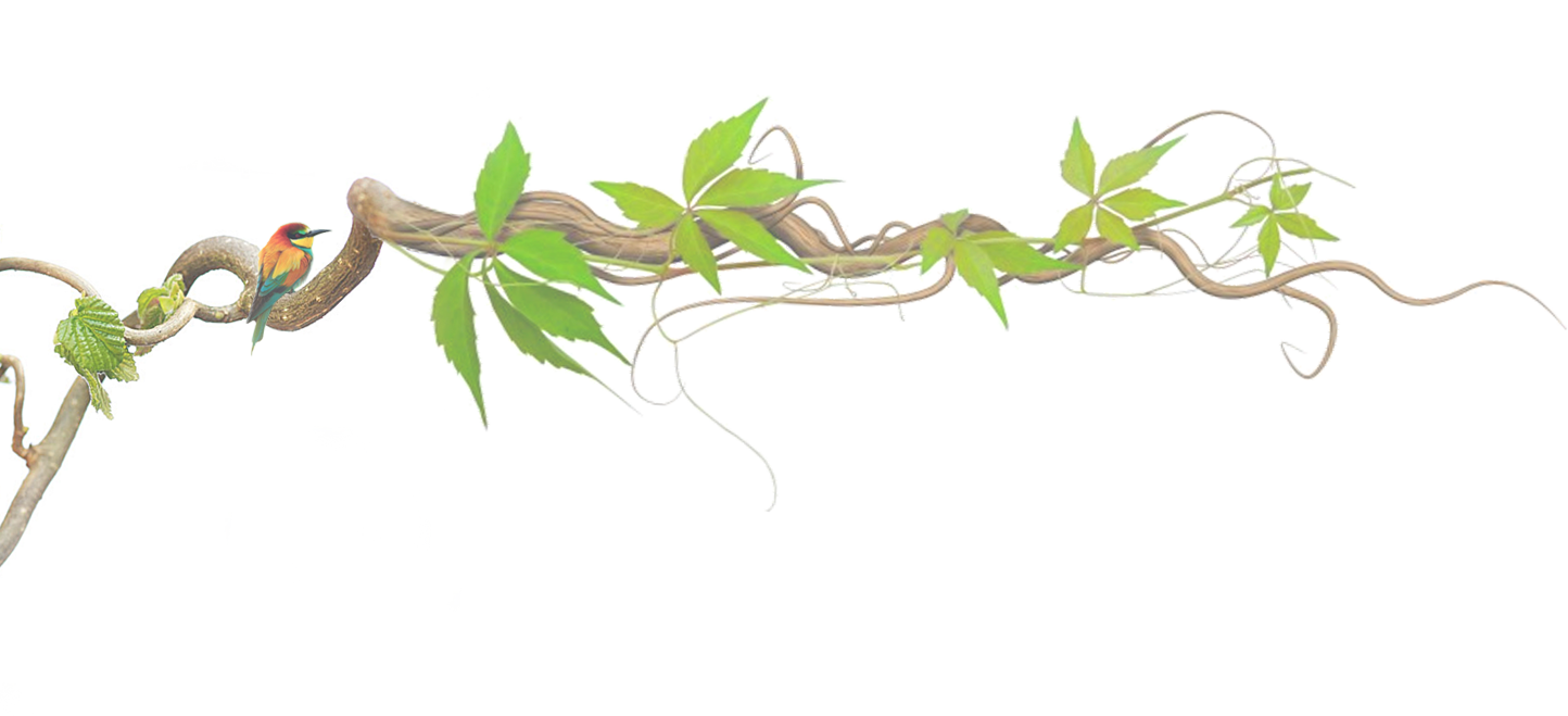 ��(sh��)֦�b�